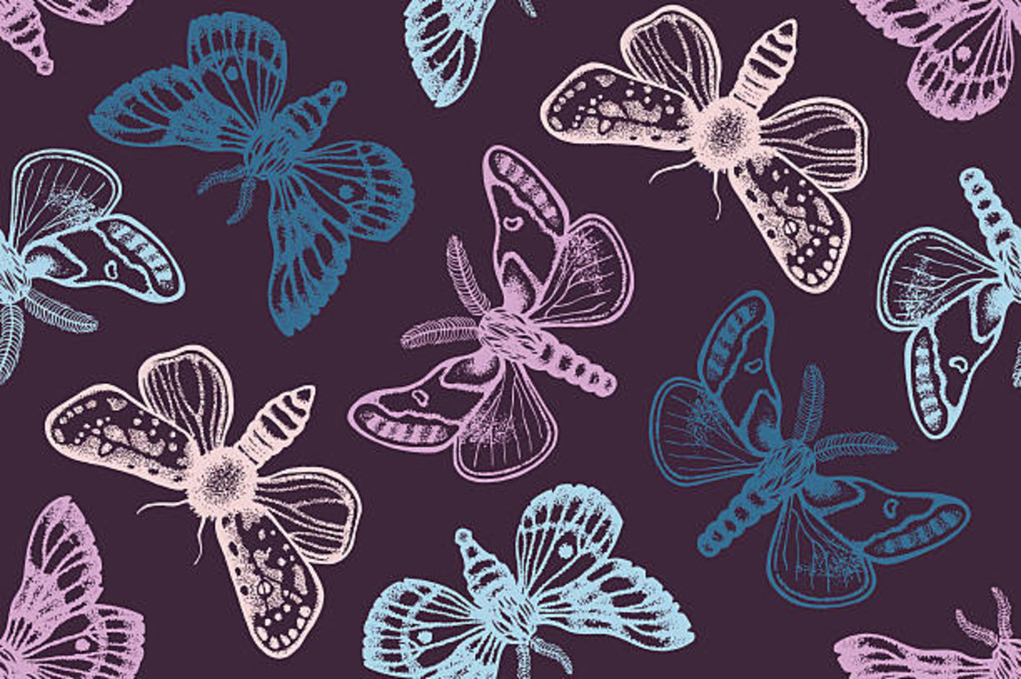 Drawing:5dlmdowxula= Butterfly