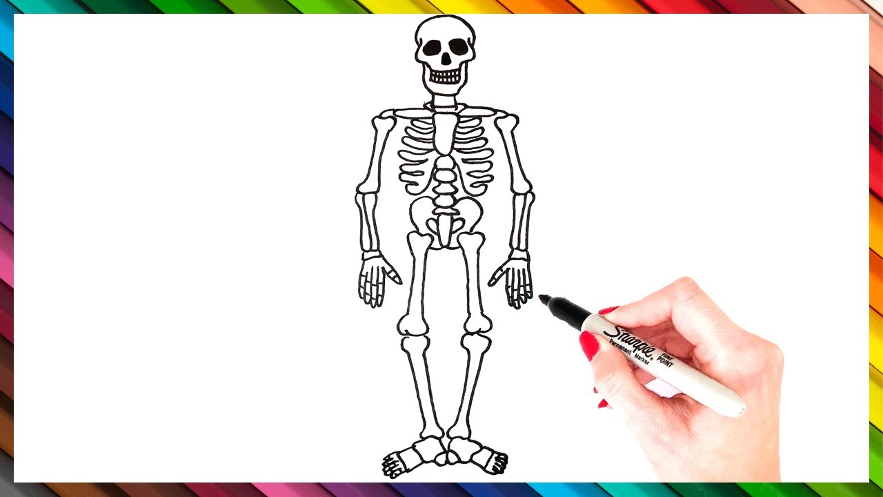 Drawing:9qs9xgbv4jo= skeleton