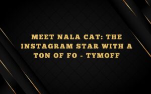 Meet nala cat: the instagram star with a ton of fo - tymoff