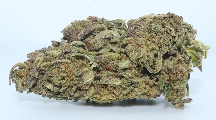 Bestsellers on Dr Ganja to try today