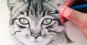 Drawing:a4z_-ymtkr8= cat