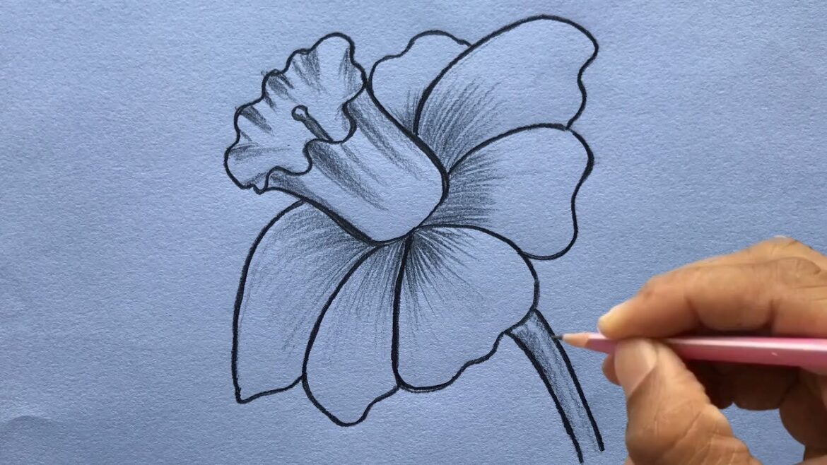 Exploring the Concept of Drawing:b6yad8or5mm= flower